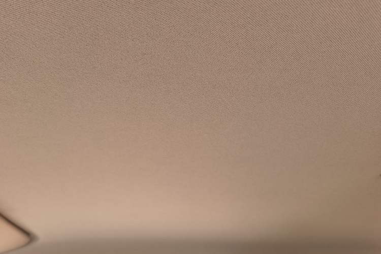 Used  Panda 2023 Panda Mini 200km Endurance Bear
