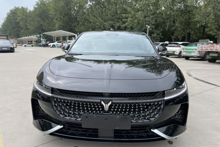 Used VOYAH PASSION 2024 PHEV Four-Wheel Drive Ultra-Long Range Flagship Model
