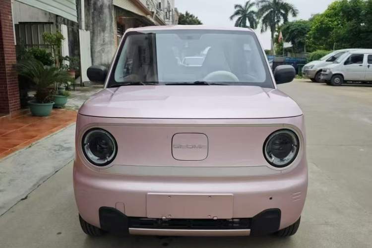 Used  Panda 2023 Panda Mini 200km Endurance Bear
