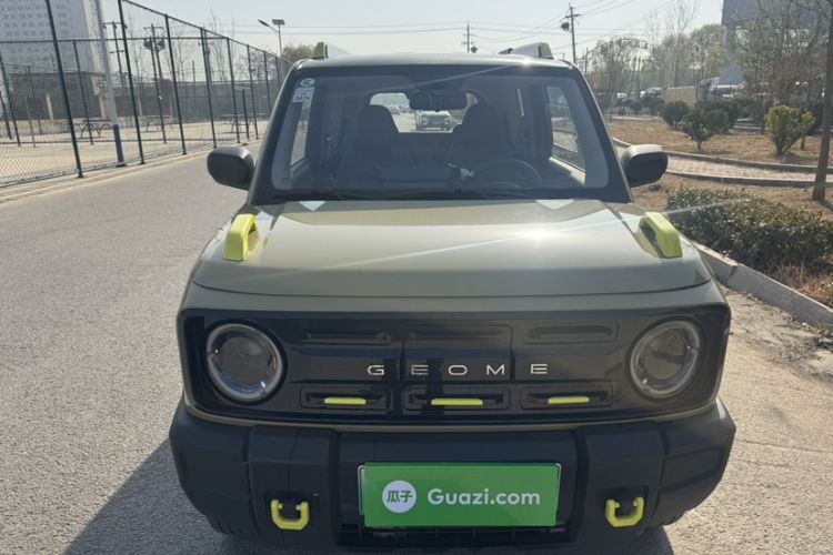 Used  Panda 2024 200km Panda Rider
