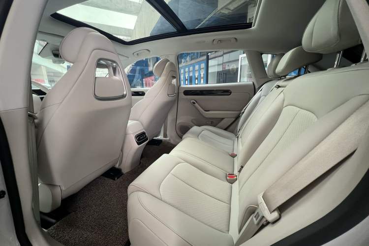 Used Leapmotor C11 2023 Pure Electric 500 Comfort Edition
