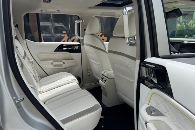 Used  Tank 300 2021 2.0T Cyber Tank
