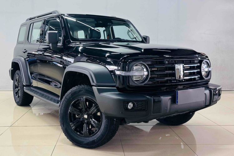 Used Tank 300 2024 2.0T Challenger
