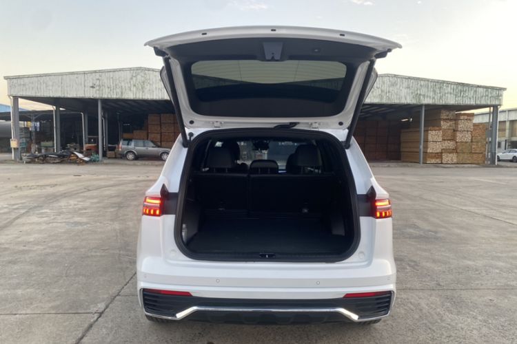 Used Geely Auto Monjaro L 2024 2.0TD High-Power Automatic Two-Wheel Drive Skyline Edition
