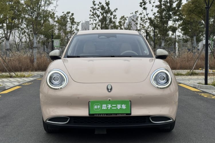 Used ORA Good Cat 2021 500km Long-Range Poseidon Edition Lithium-Ion Battery
