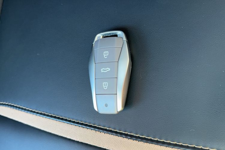 Used SOL E10X 2022 Flower Fairy Design Dandelion
