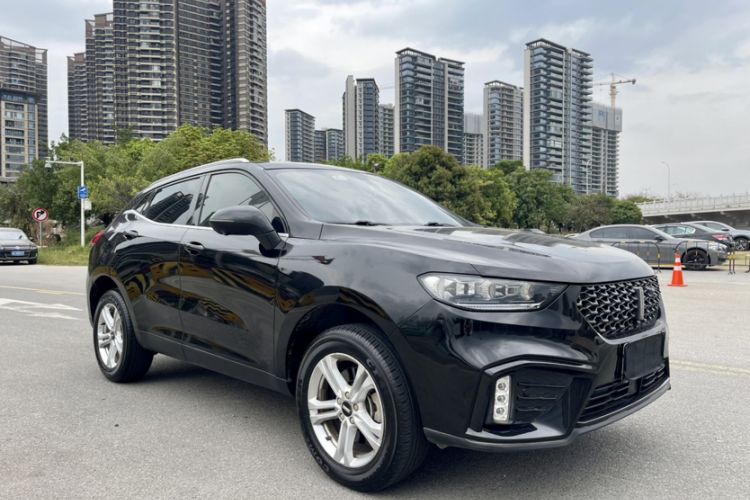 Used Wey VV5 2020 1.5T Two-Wheel Drive Color Pioneer
