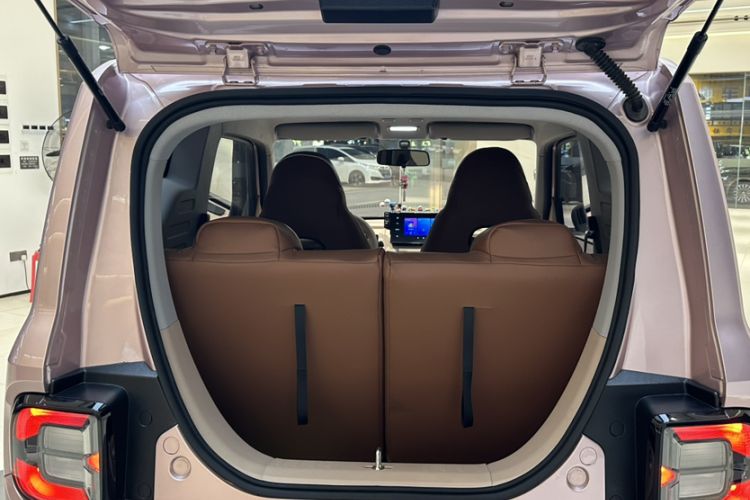 Used  Panda 2024 Panda Mini 200km Endurance Bear
