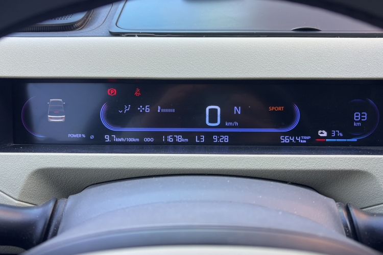 Used  Panda 2024 200km Panda Rider