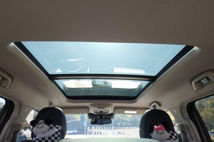 Used Haval  2023 1.5T Two-Wheel Drive Chao Ye Version Plus
