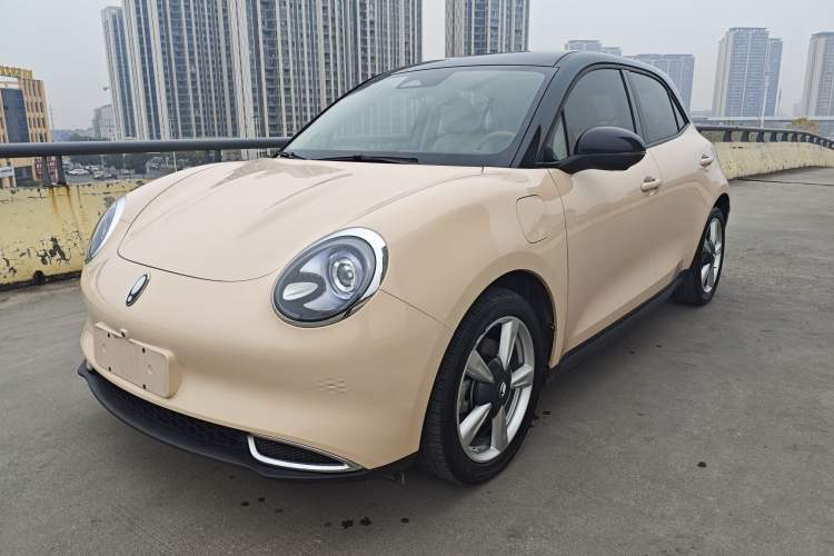 Used ORA Good Cat 2023 401 km Standard Range Luxury Version Lithium Iron Phosphate
