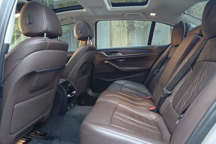 Used BMW 5 Series New Energy 2019 530Le Luxury Package
