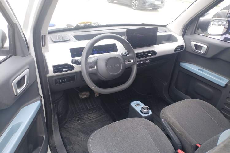 Used  Panda 2023 Panda Mini 200km Endurance Bear
