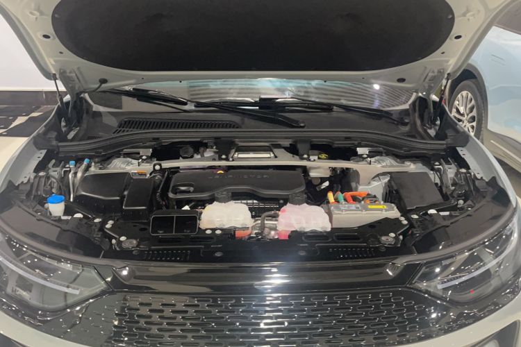 Used Leapmotor C11 2024 Range-Extended 300 Luxury Edition
