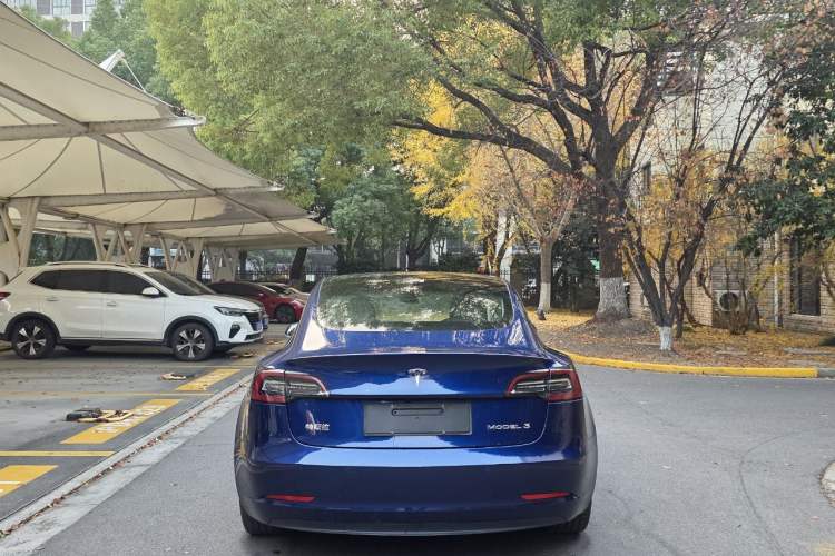Used Tesla Model 3 2020 Revised Version Standard Range Rear-Wheel Drive – Upgraded Edition
