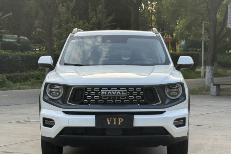 Used Haval  2023 2.0T All-Wheel-Drive Chaoye Plus
