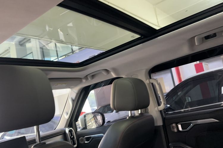 Used  Shanhai T2 2024 C-DM 129KM Linye Edition
