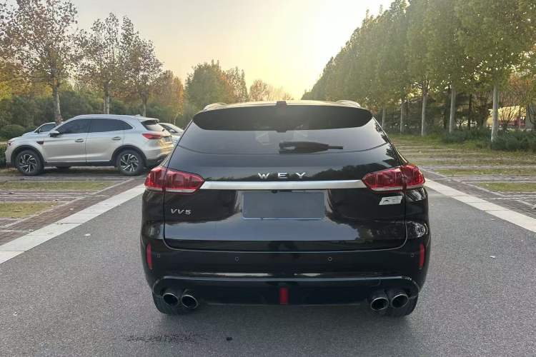 Used Wey VV5 2019 1.5T Two-Wheel Drive Color Pioneer
