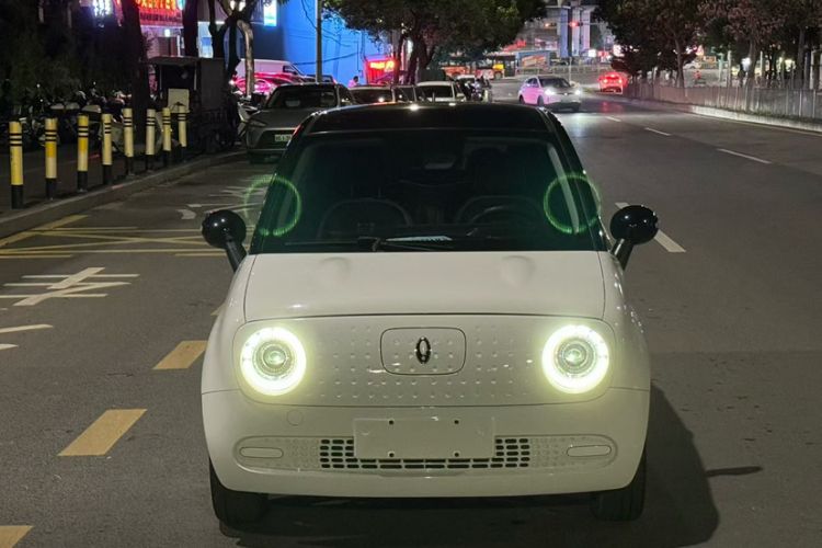 Used ORA Black Cat 2022 351 km Comfort Version Ternary Lithium