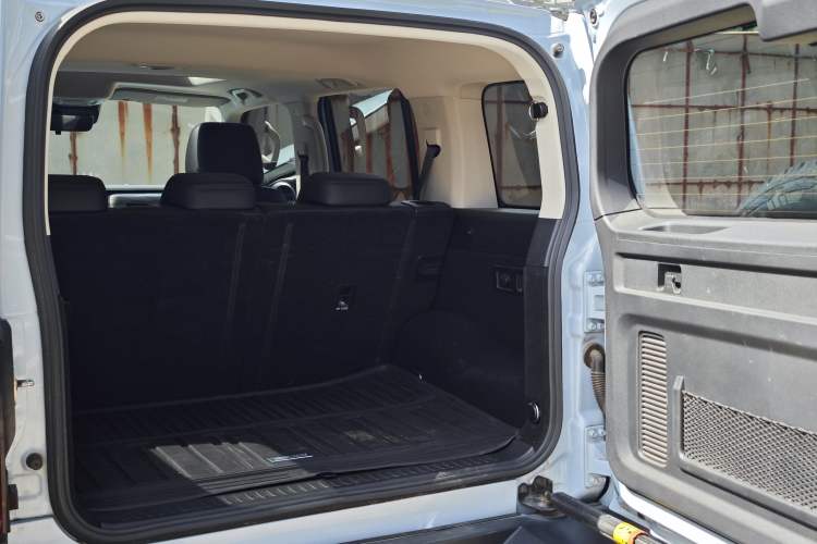 Used Tank 300 2021 2.0T Monet Tribute Limited Edition