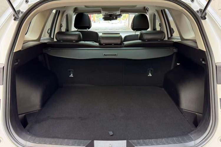 Used Haval H6 2021 3rd Generation 2.0T Automatic Two-Wheel Drive Max
