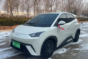 Used BYD Seagull 2024 Honor Edition 305km Dynamic Version