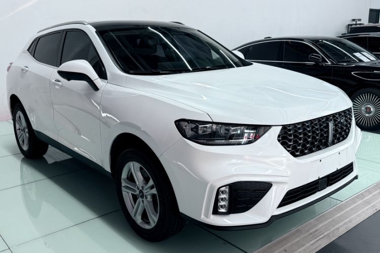 Used Wey VV5 2020 1.5T Two-Wheel Drive Color Pioneer
