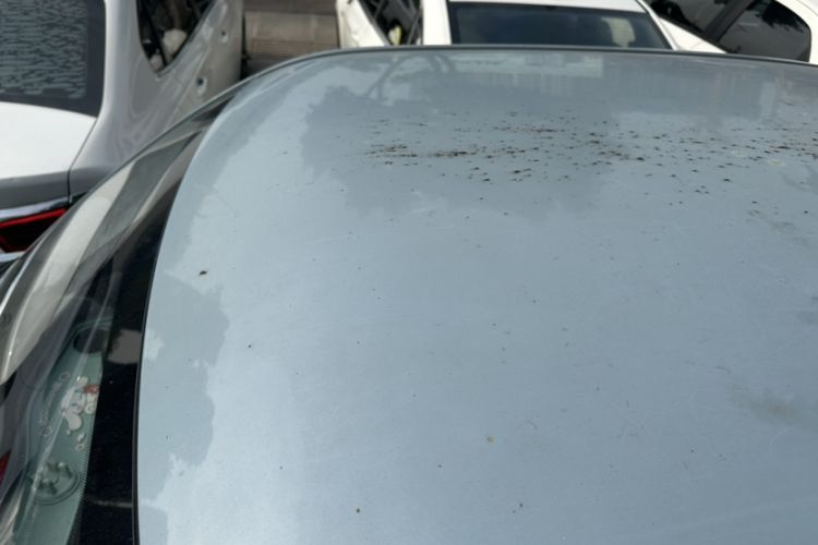 Used Wuling Hongguang MINIEV 2020 Enjoyment Model Lithium Iron Phosphate
