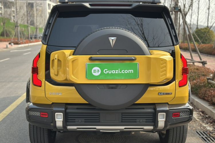 Used  G318 2025 Worry-Free Adventure Edition Four-Wheel Drive Secret Realm Version
