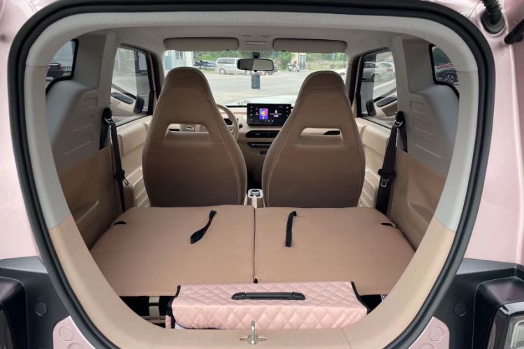 Used  Panda 2023 Panda Mini 200km Endurance Bear
