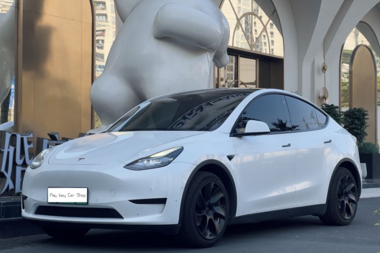 Used Tesla Model Y 2022 Revised Version Rear-Wheel Drive
