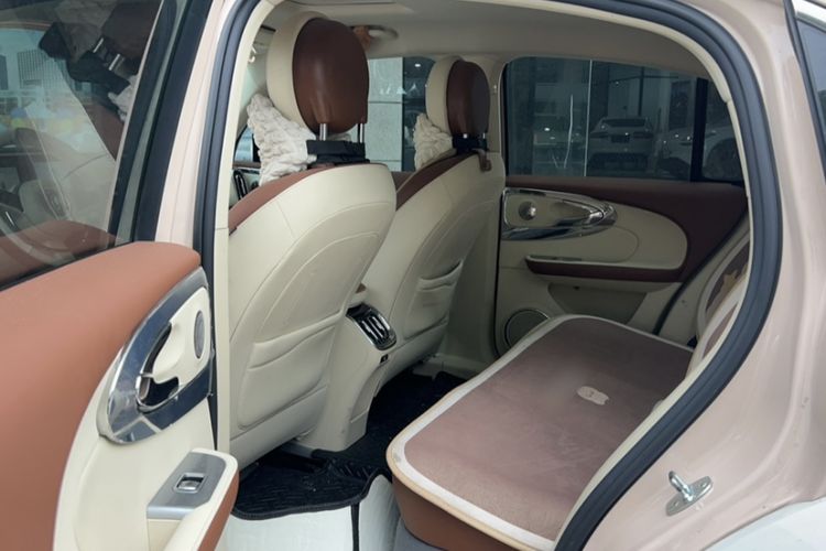 Used ORA Ballet Cat 2023 401 km Luxury Version
