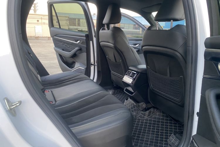 Used Geely Auto Monjaro L 2024 2.0TD High-Power Automatic Two-Wheel Drive Skyline Edition
