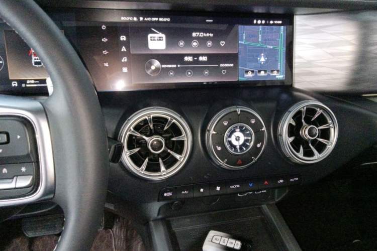 Used Tank 300 2024 2.0T Conqueror