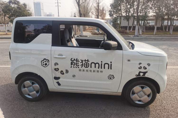 Used  Panda 2023 Panda Mini 200km Endurance Bear
