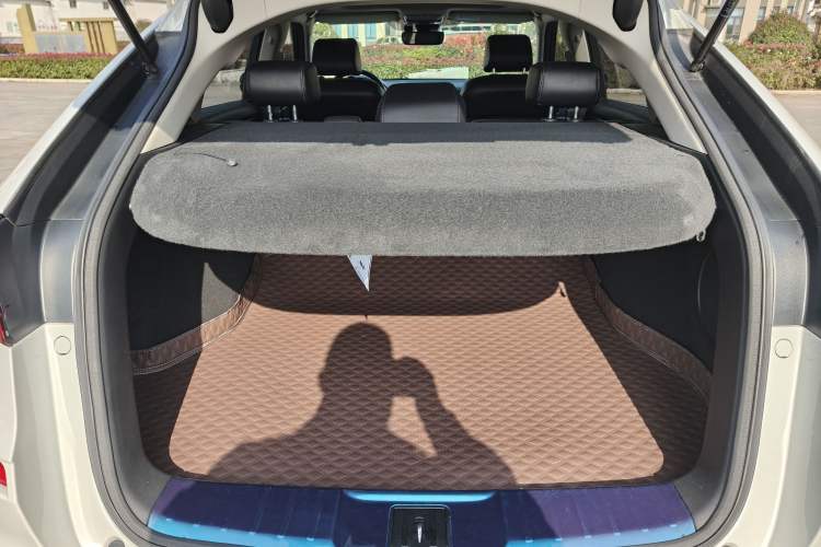 Used Honda Avancier 2020 370TURBO Two-Wheel Drive Luxury Edition
