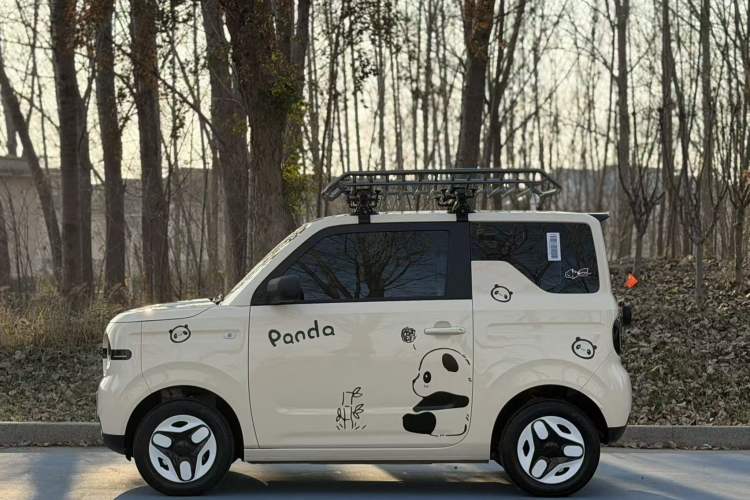 Used  Panda 2025 210 km – Yuanqi Bear
