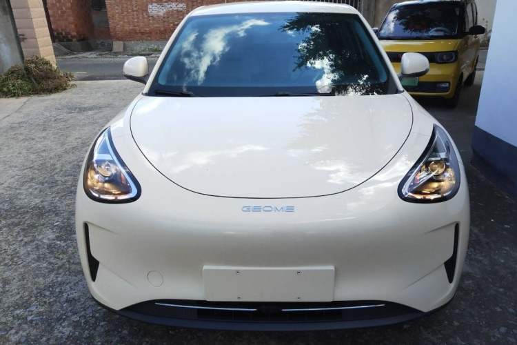 Used  Geome 2025 310km Youth Edition
