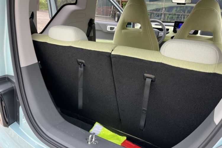 Used  Panda 2024 Panda Mini 200km Endurance Bear
