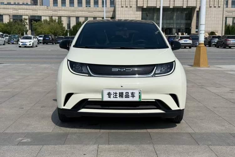 Used BYD Dolphin 2021 405 km Fashion Edition
