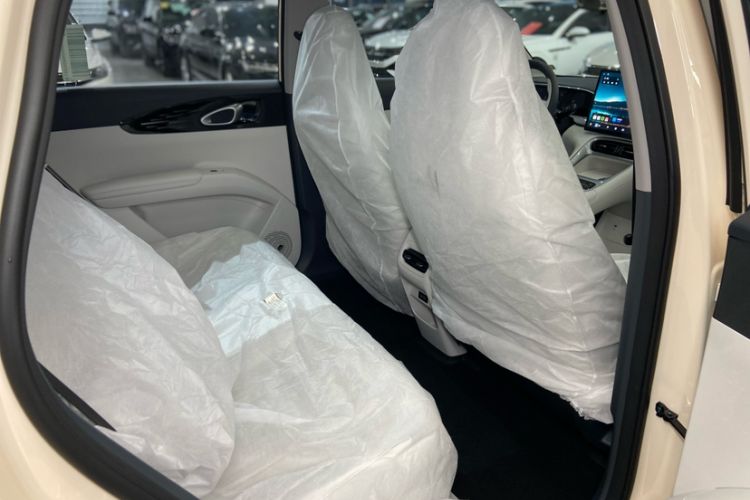 Used  Geome 2025 310km Dream Edition
