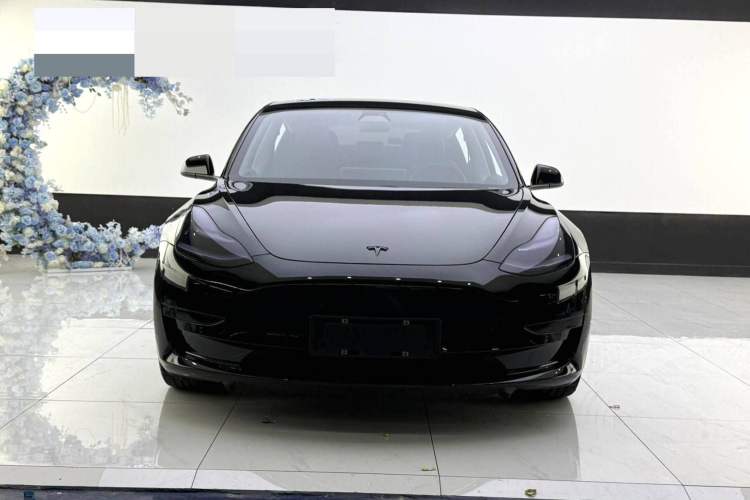 Used Tesla Model 3 2020 Standard Range Rear-Wheel Drive Upgraded Version
