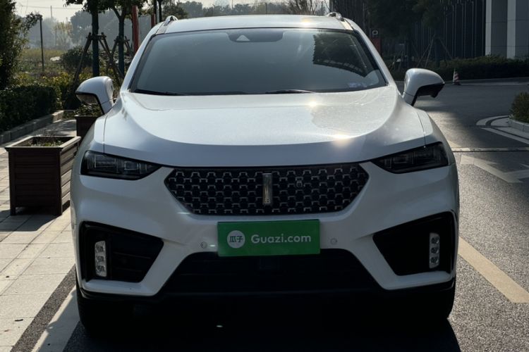 Used Wey VV7 2020 2.0T Ultra-Luxury Version
