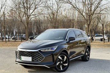 Used BYD Tang New Energy 2024 DM-i Glory Edition 112KM Prestige Model