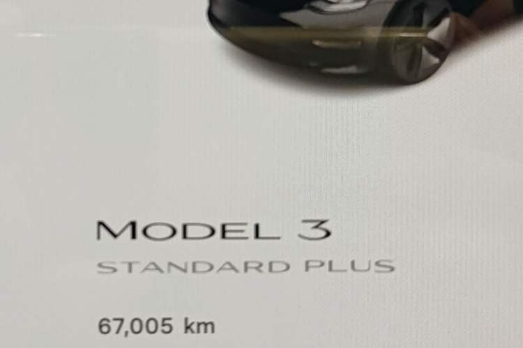 Used Tesla Model 3 2021 Standard Range Rear-Wheel Drive Upgraded Version 3D6
