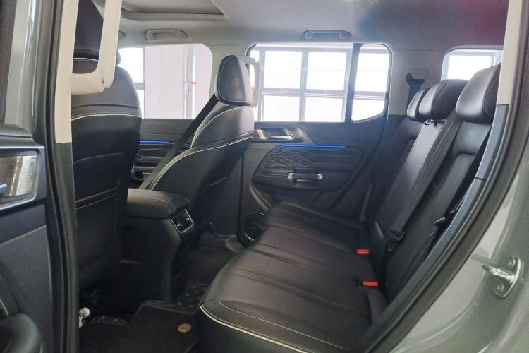 Used Tank 300 2024 2.0T Conqueror
