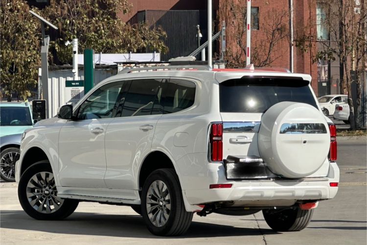 Used Tank 500 New Energy 2025 Hi4-Z