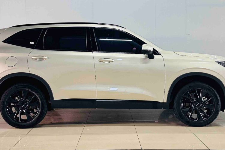Used Haval H6 2024 1.5T Two-Wheel Drive Pro