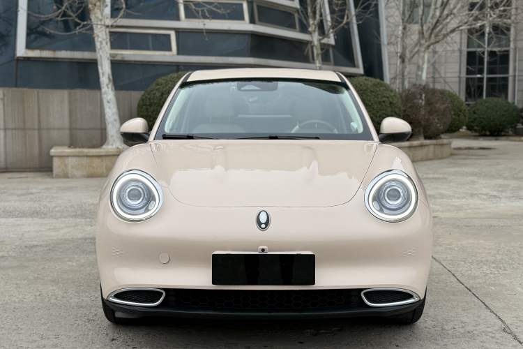 Used ORA Good Cat 2022 Morandi Edition 400km Standard Range Premium Version Lithium-Ion Battery