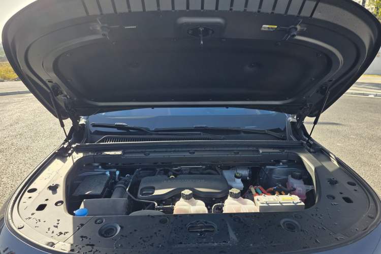 Used Leapmotor C16 2024 Range-Extended 200 Luxury Edition
